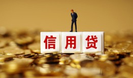 成都哪有个人借贷-成都小额贷款公司-成都私借空放免费上门