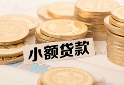 成都身份证贷款平台-成都私人借贷不查征信-成都空放借钱